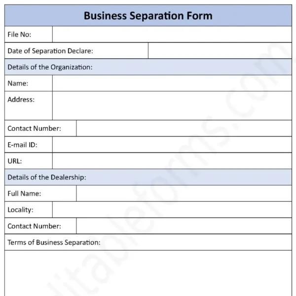 Business Separation Fillable PDF Form