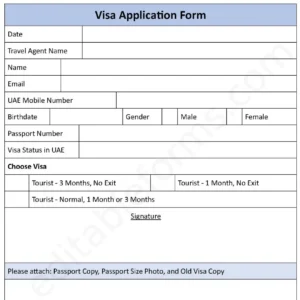 Visa Application Fillable PDF Form