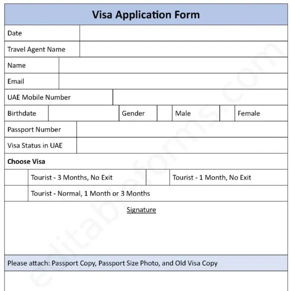 Visa Application Fillable PDF Form