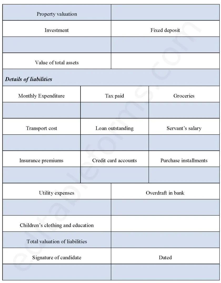 Assets and Liabilities Statement Form