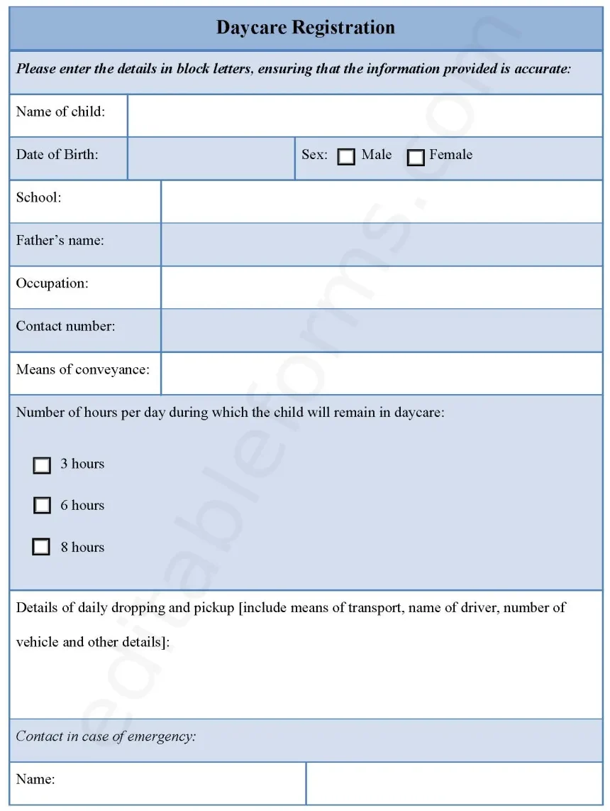 Daycare Registration Fillable PDF Form