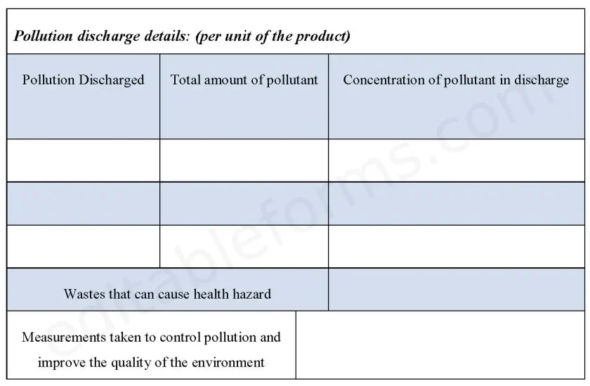 Environment Statement Template