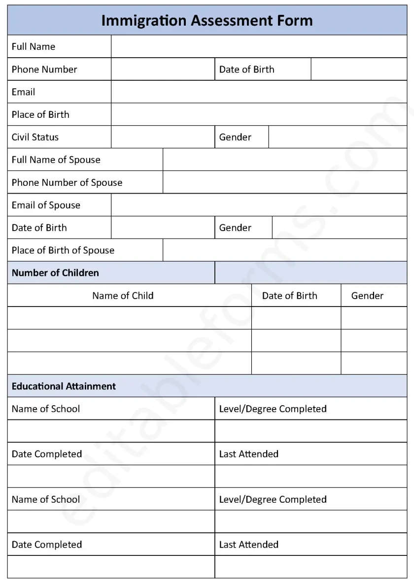 Immigration Assessment Fillable PDF Form