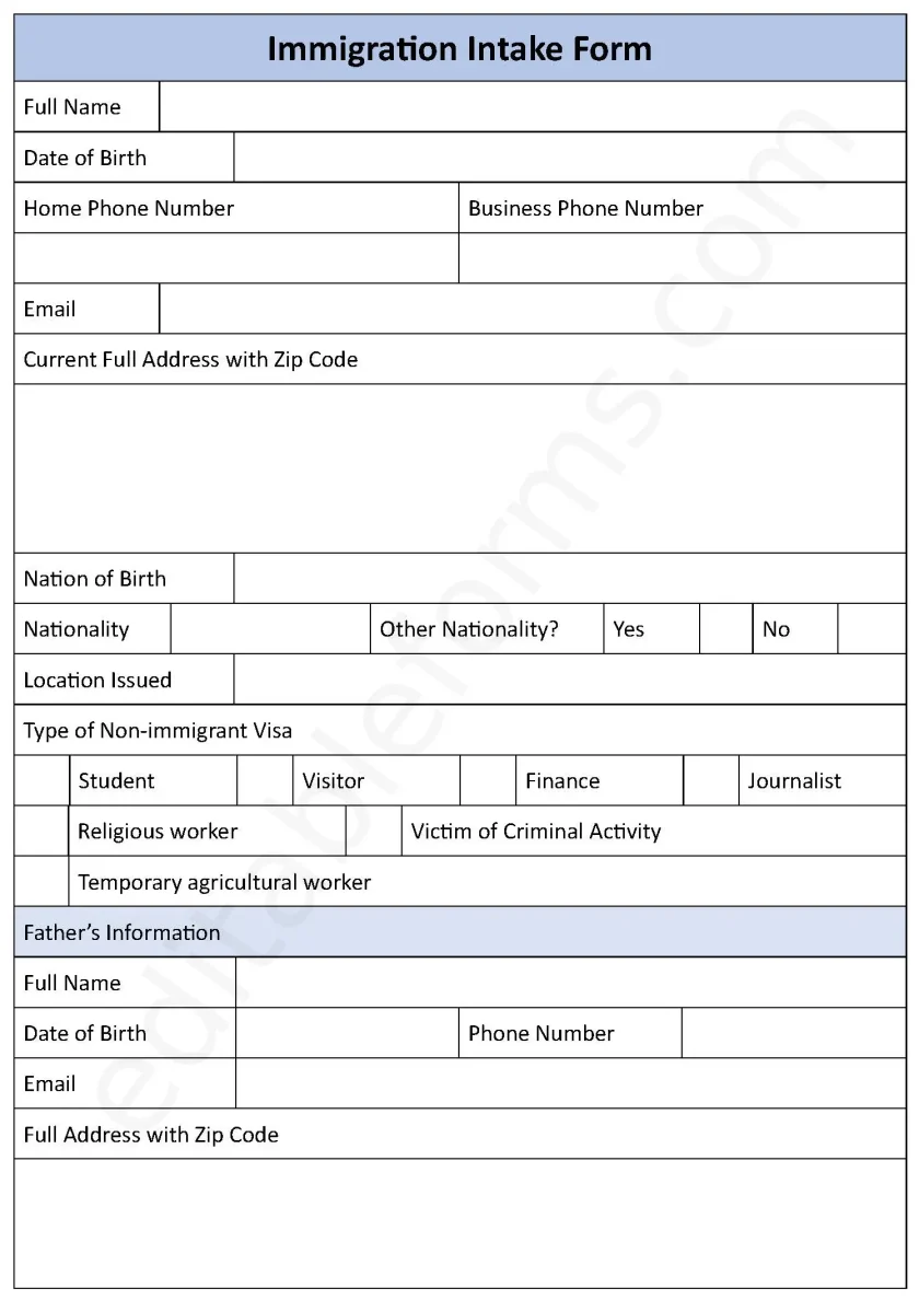 Immigration Intake Fillable PDF Form