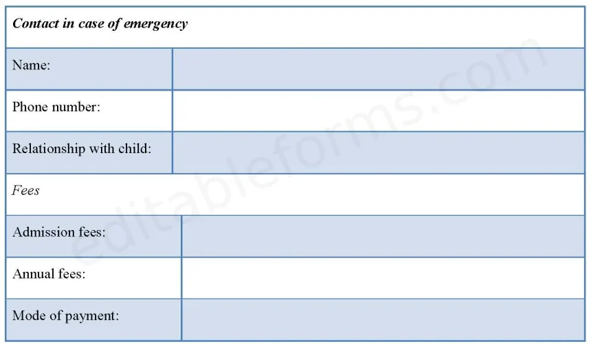 Pre-School Registration Fillable PDF Form