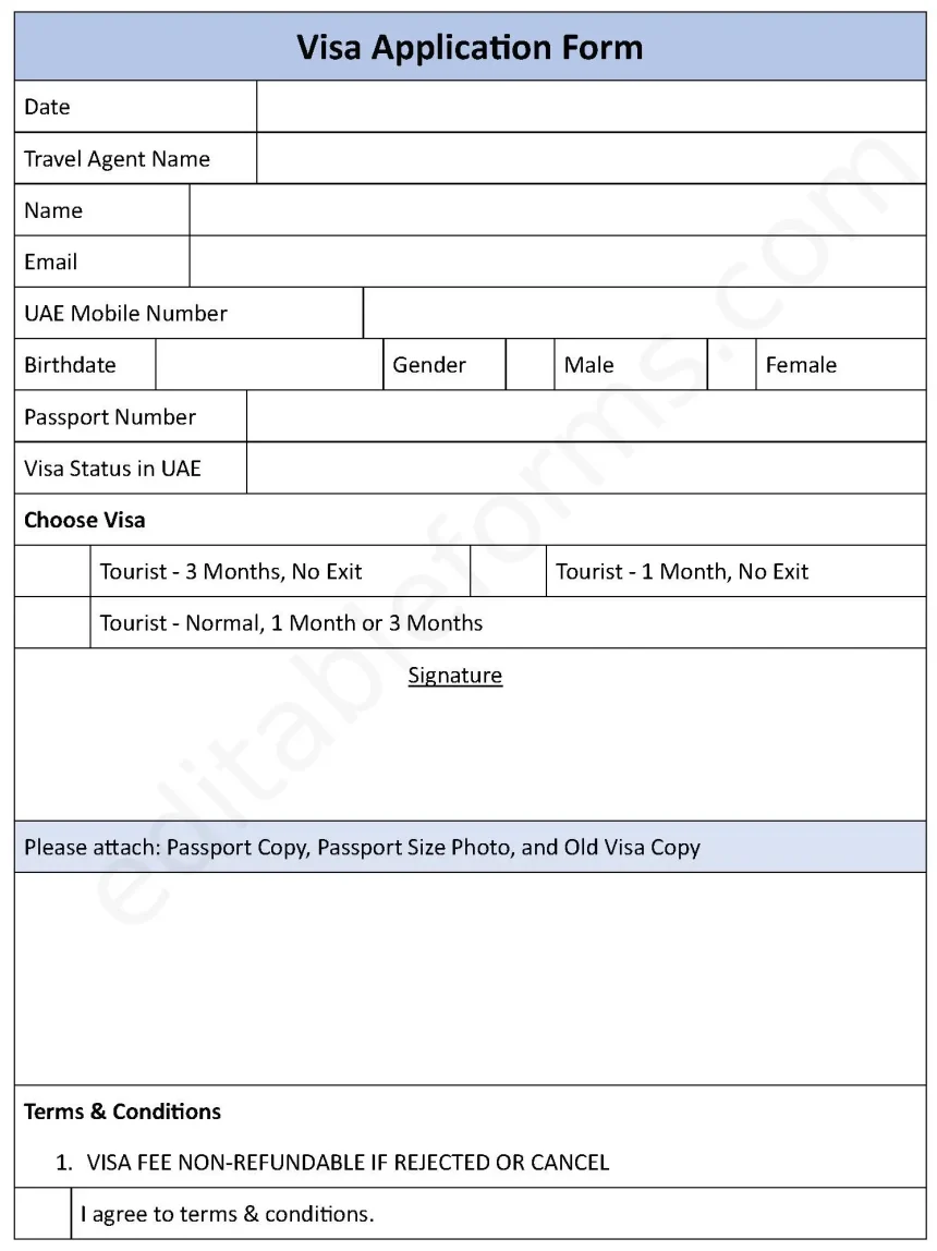 Visa Application Fillable PDF Form